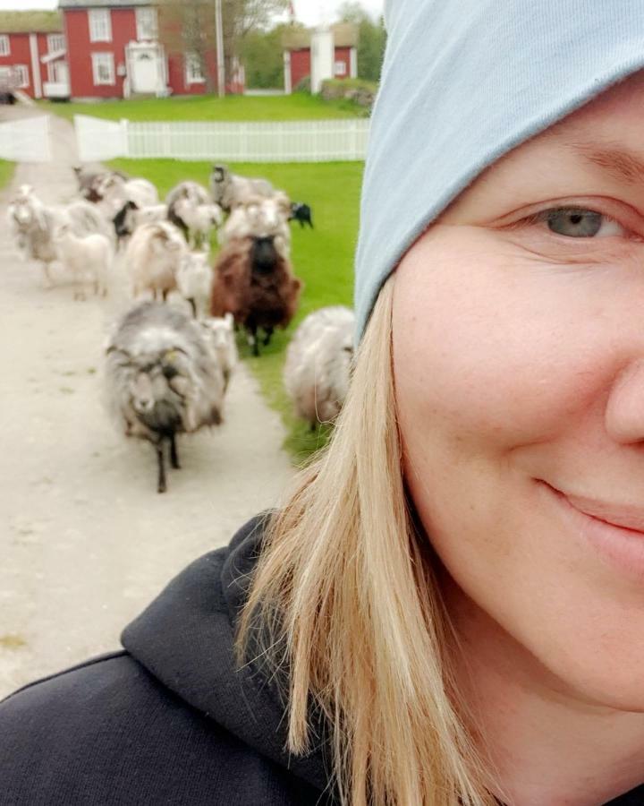 Hotel Tranøya Zewnętrze zdjęcie